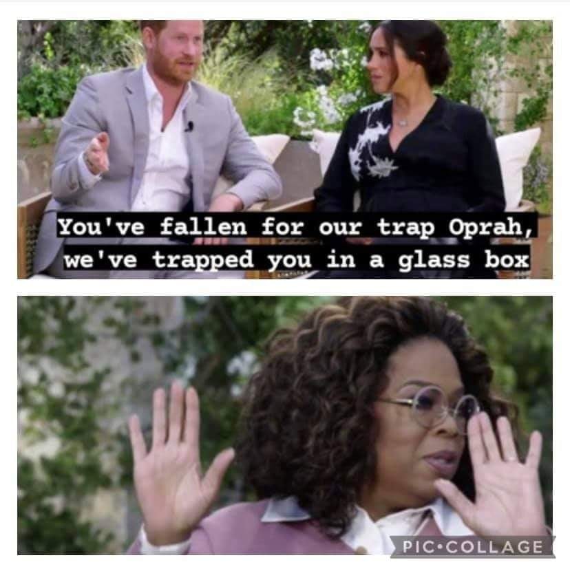 royal family memes