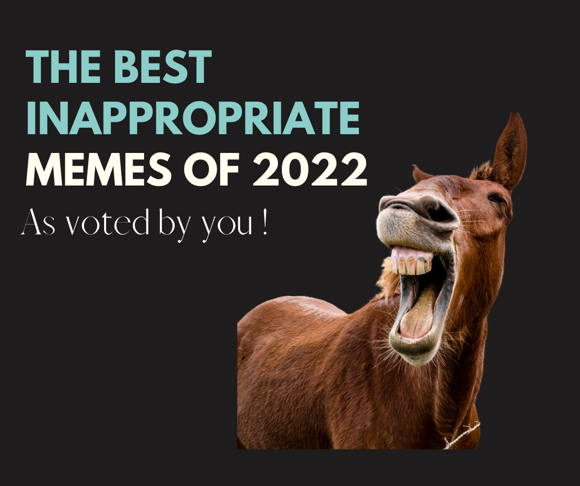 BEST MEMES of 2022