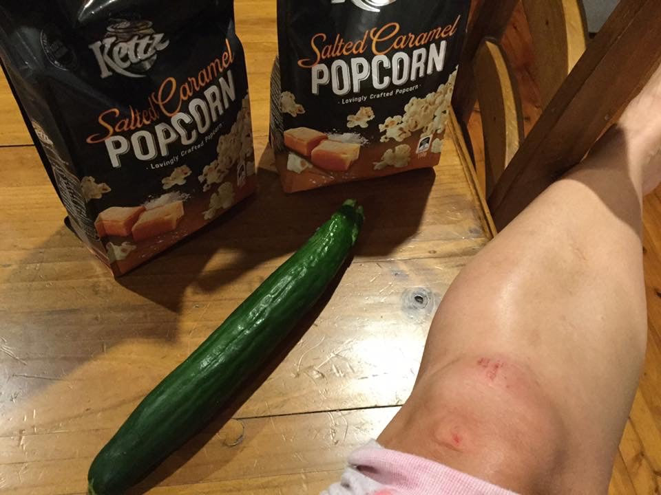 Cats and cucumbers