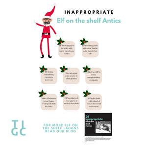 TIGC The Inappropriate Gift Co I Don't Give a Fuck Christmas Planner