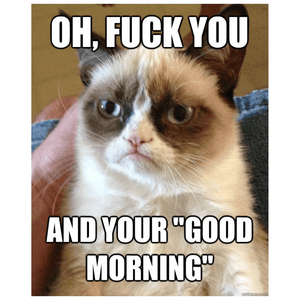 TIGC The Inappropriate Gift Co Fuck off. Sorry I mean good morning mug