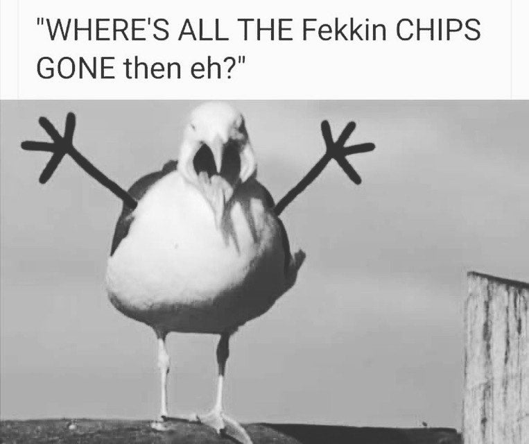 making Life Fun Again The Inappropriate Gift Co