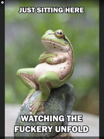 The funniest 31 Trump/ Biden memes on the internet