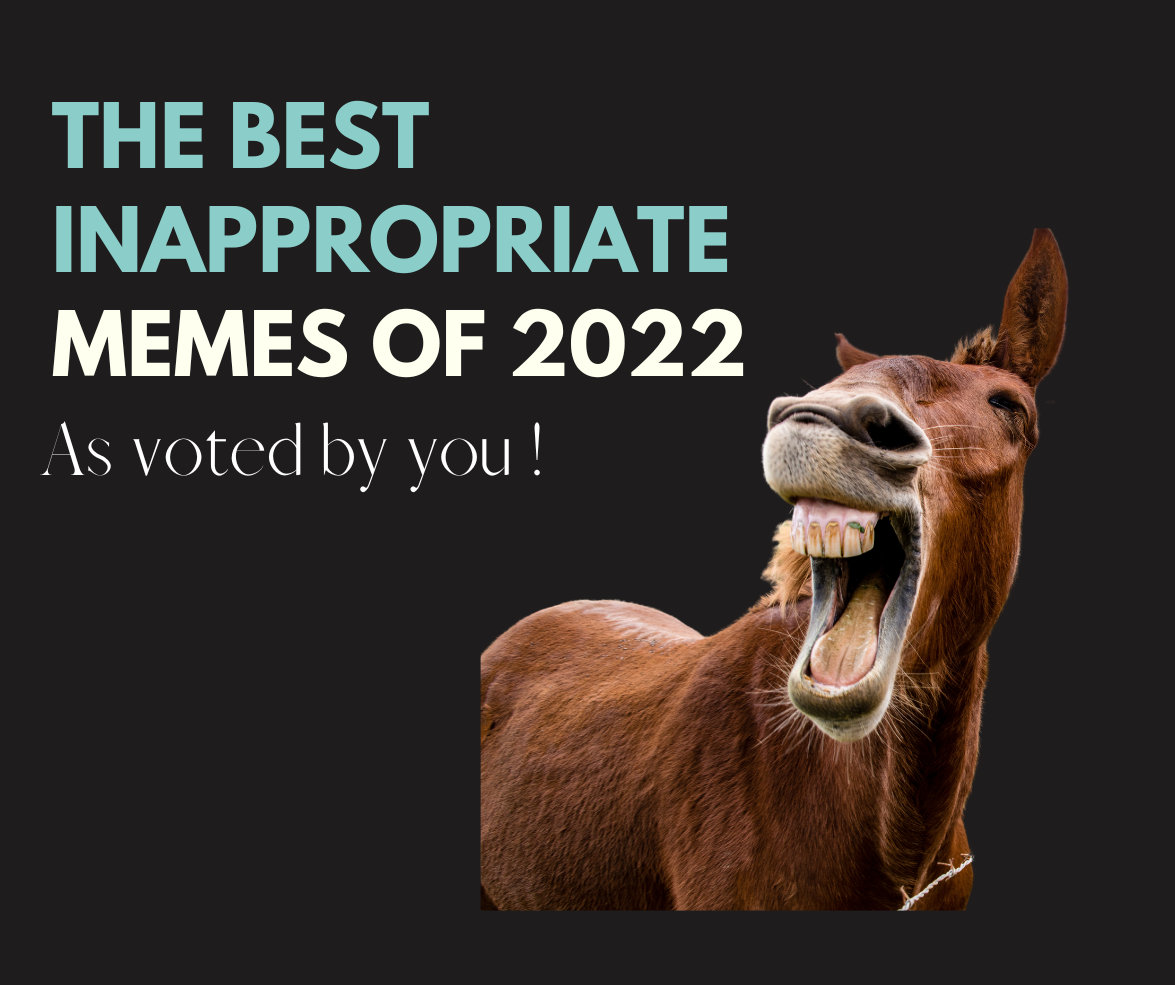 2020 Wrap Up: Best Animal Memes Of The Year (100 Memes)