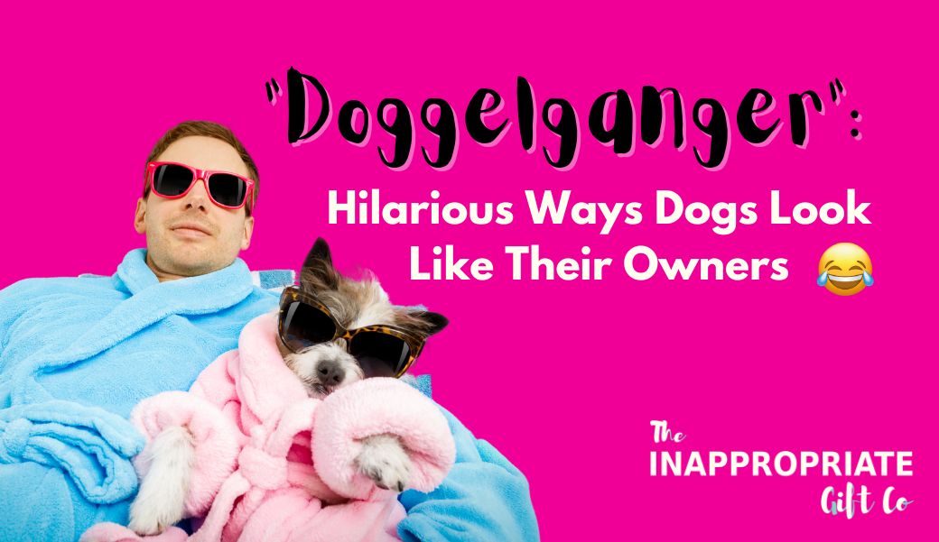 Barking Up the Right Tree: Hilarious Ways Dogs Look Like Their Owners