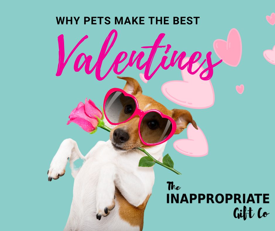 Why Pets Make the Best Valentines