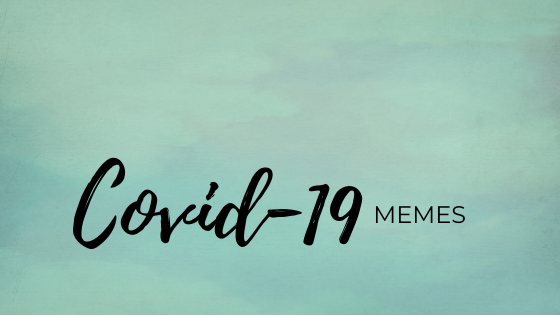 Tiger King COVID 19 Corona Virus Memes The inappropriate gift co