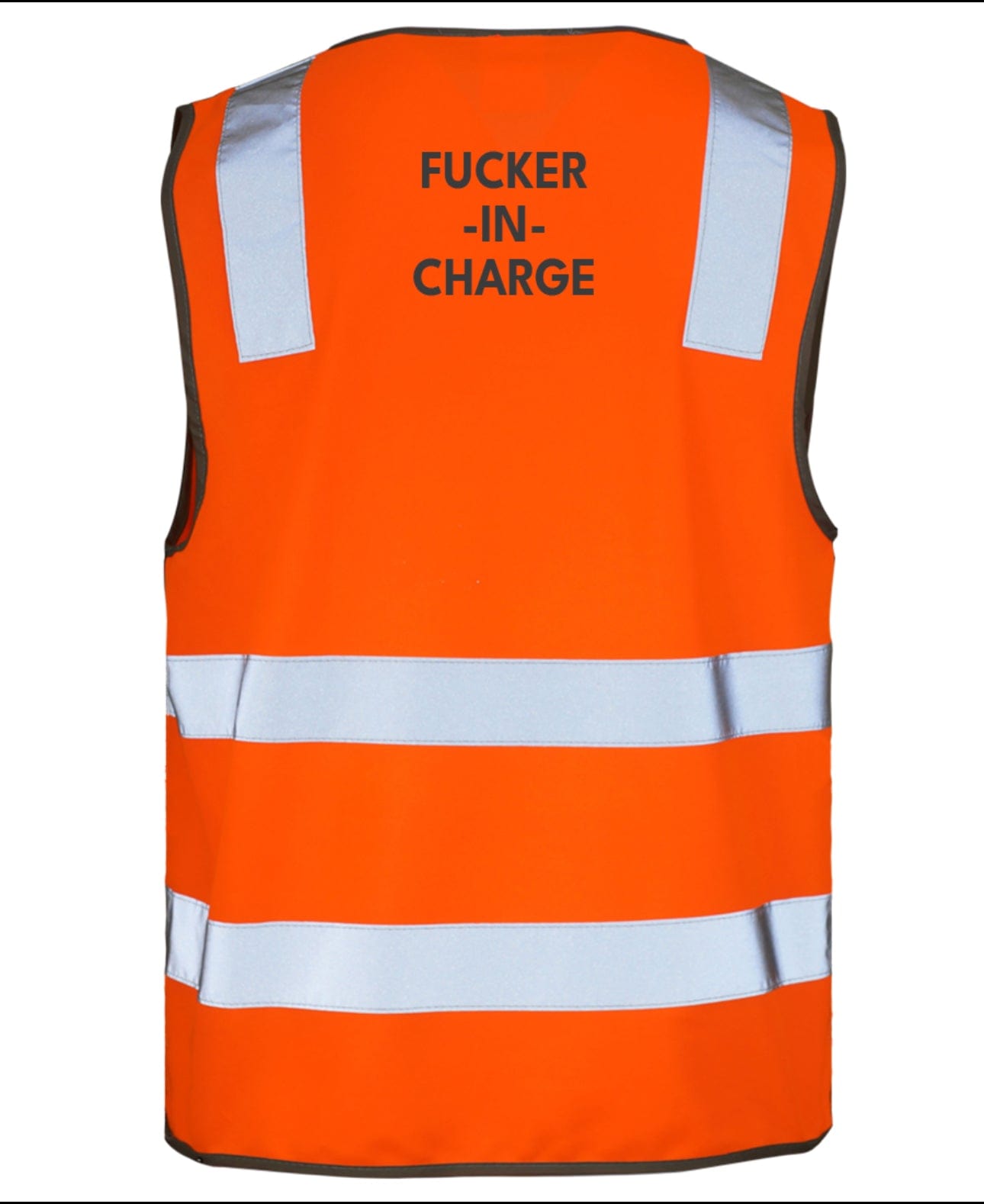 Inappropriate Hi-Viz Vest fucker in charge