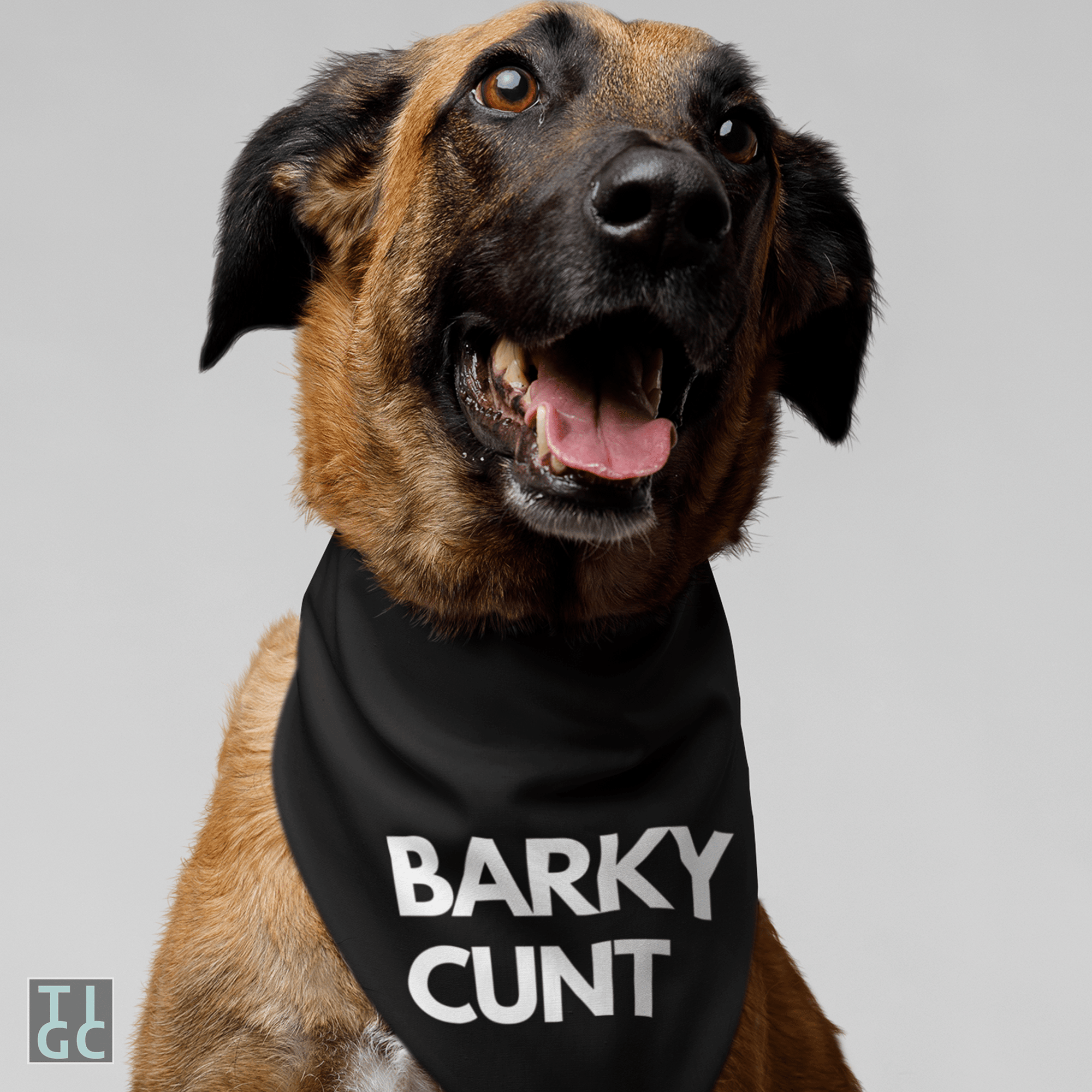 TIGC The Inappropriate Gift Co Barky Cunt dog bandana