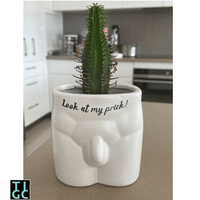 TIGC The Inappropriate Gift Co Cheeky Planter - look at my prick
