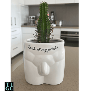 TIGC The Inappropriate Gift Co Cheeky Planter - look at my prick