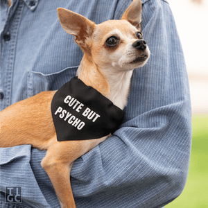 TIGC The Inappropriate Gift Co Cute but psycho dog bandana