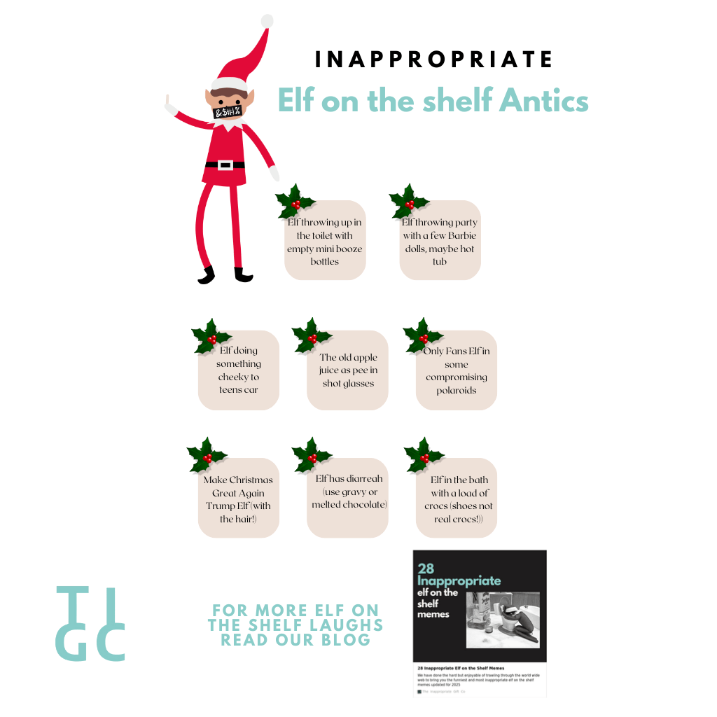 TIGC The Inappropriate Gift Co I Don't Give a Fuck Christmas Planner