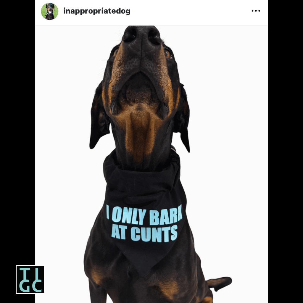 TIGC The Inappropriate Gift Co Inappropriate dog bandana- I only bark at C's