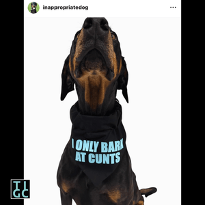 TIGC The Inappropriate Gift Co Inappropriate dog bandana- I only bark at C's