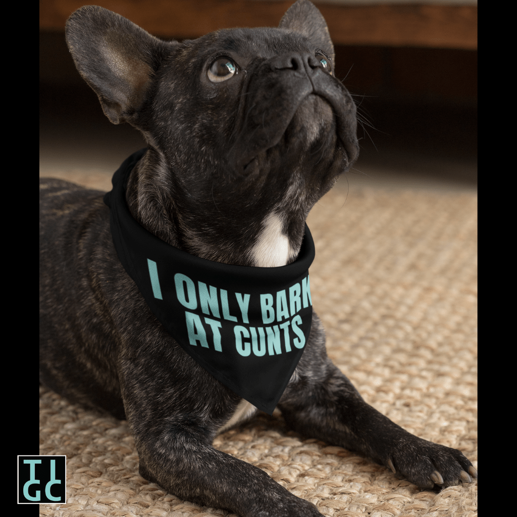 TIGC The Inappropriate Gift Co Inappropriate dog bandana- I only bark at C's