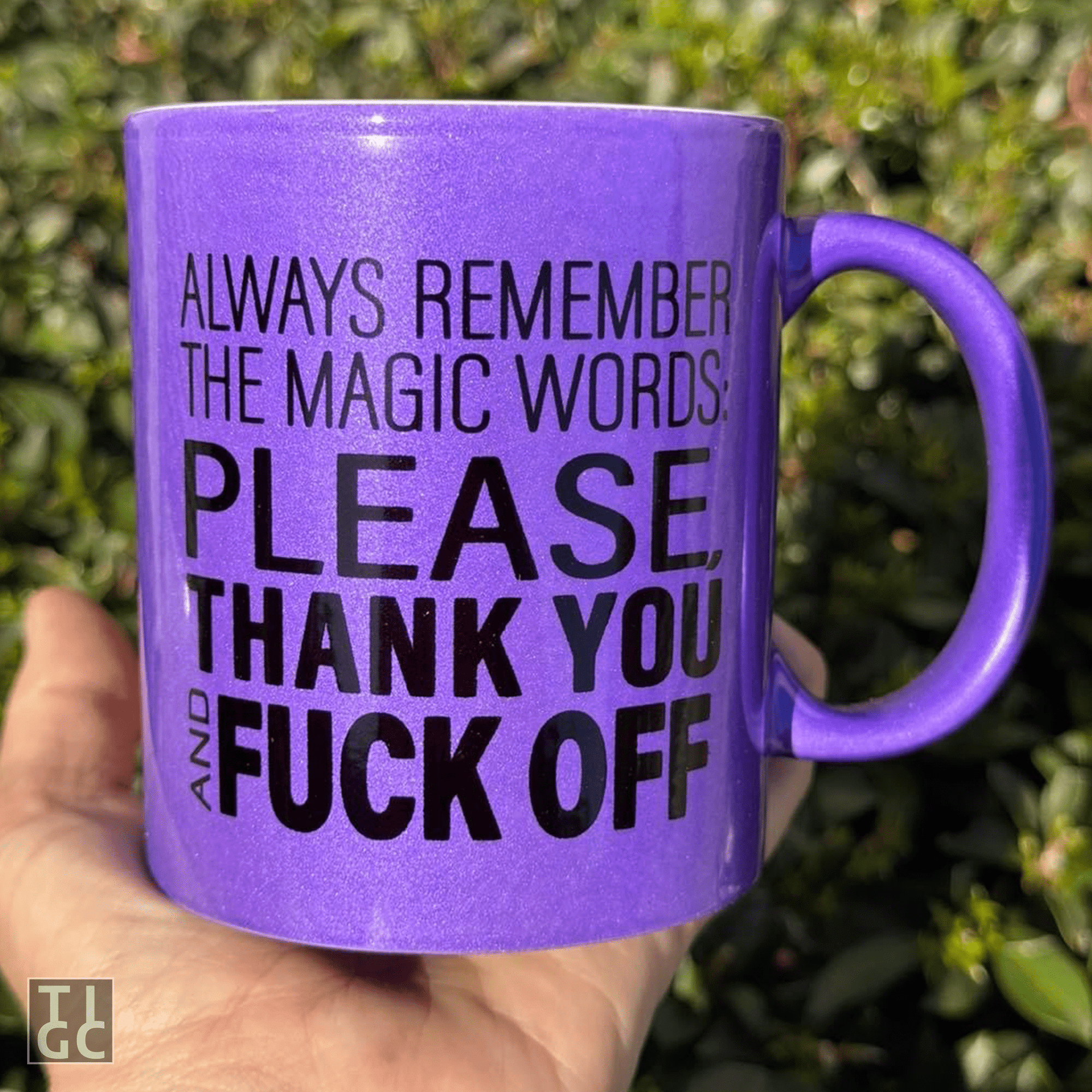 TIGC The Inappropriate Gift Co Magic words glitter mug