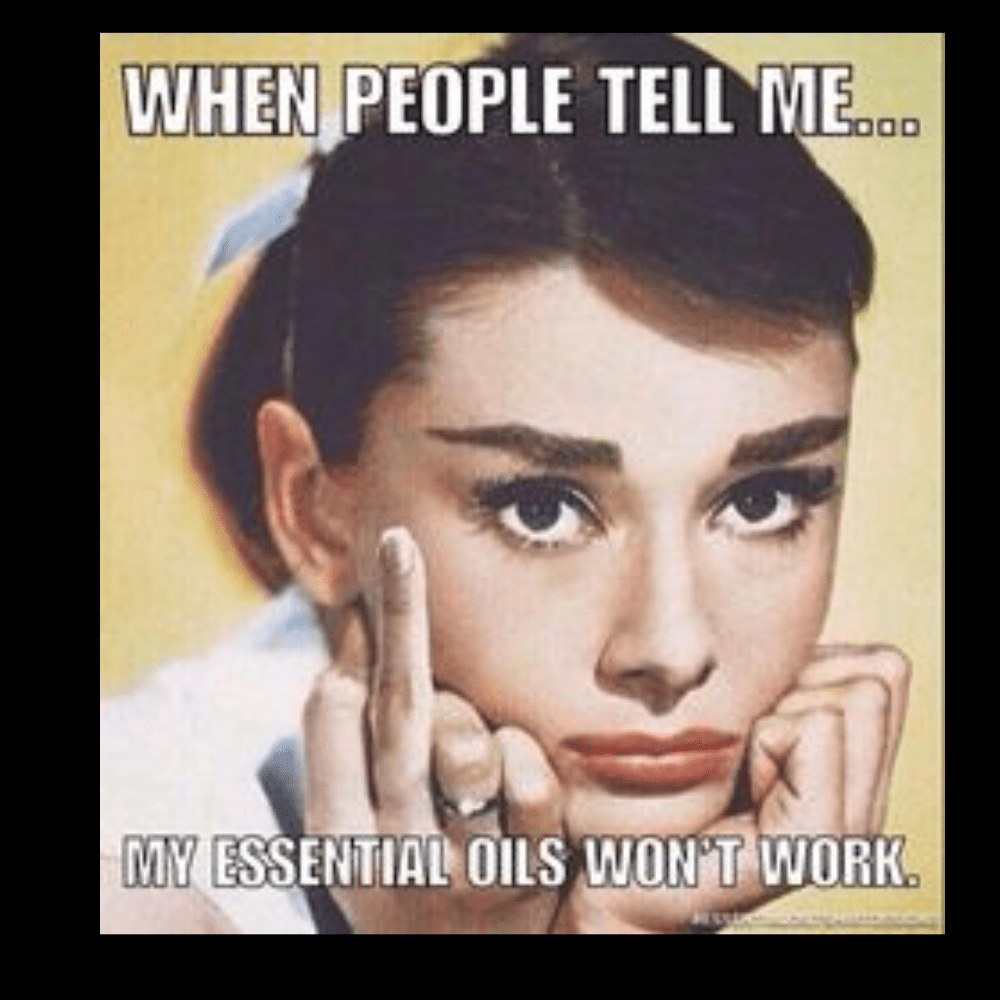 TIGC The Inappropriate Gift Co My Essential Essential Oils