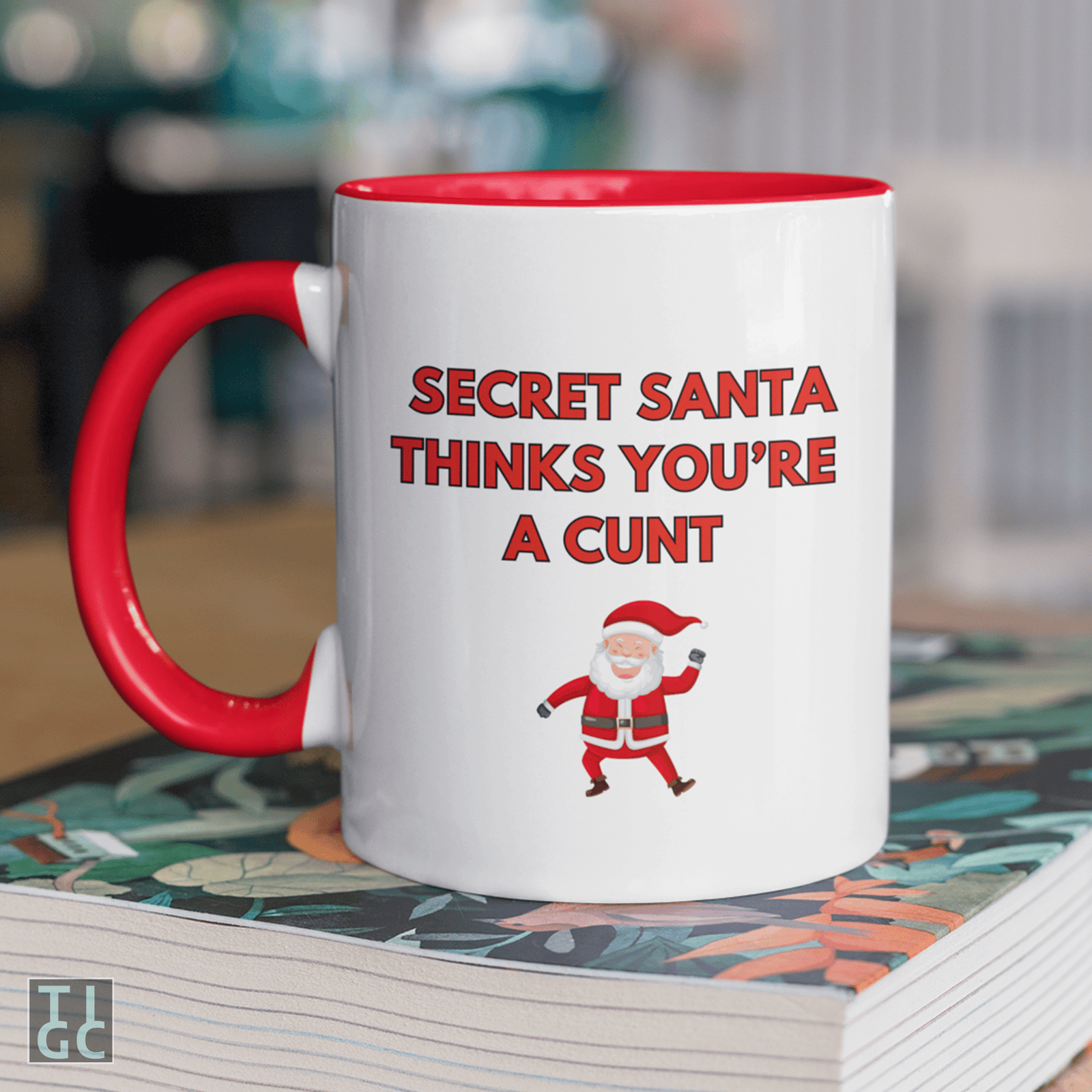 TIGC The Inappropriate Gift Co Secret Santa Thinks You're a C*nt mug