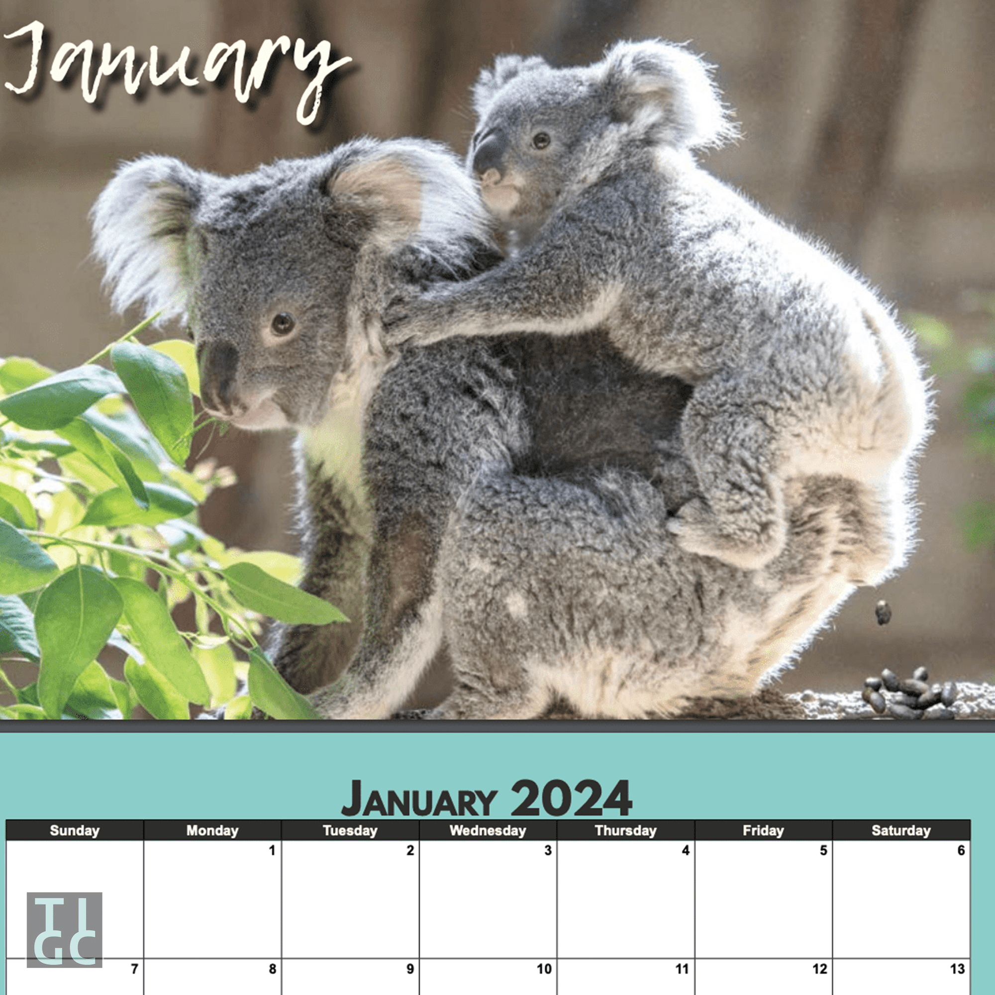TIGC The Inappropriate Gift Co Shitty Calendar 2024 - Baby Animals Edition