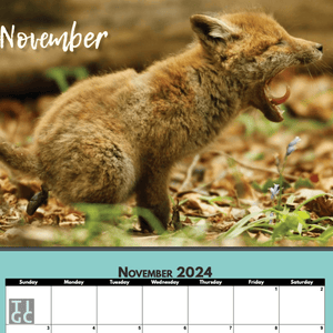 TIGC The Inappropriate Gift Co Shitty Calendar 2024 - Baby Animals Edition