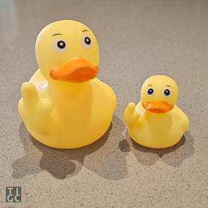 FU ducky duo