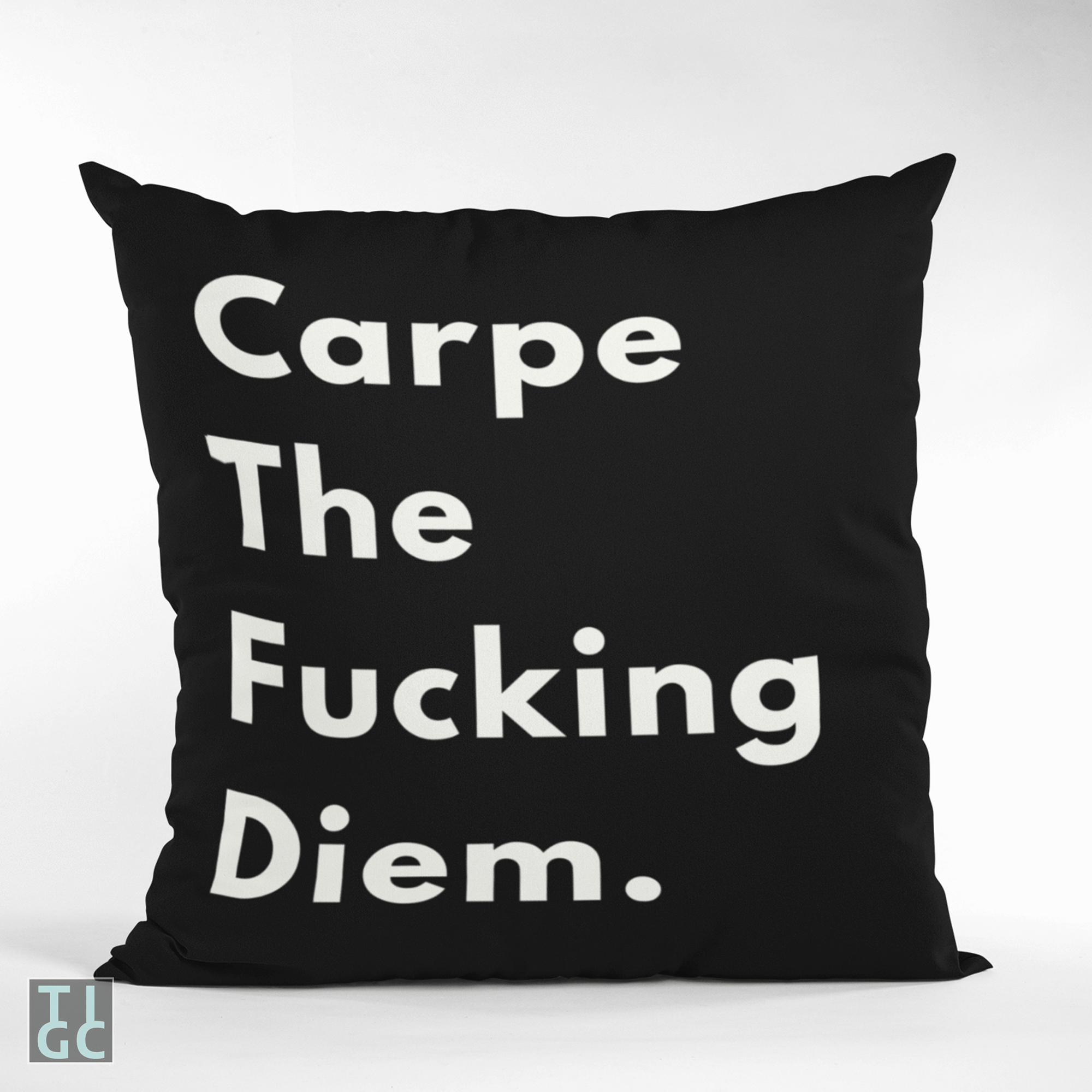 TIGC The Inappropriate Gift Co Carpe the Fucking Diem Cushion Cover
