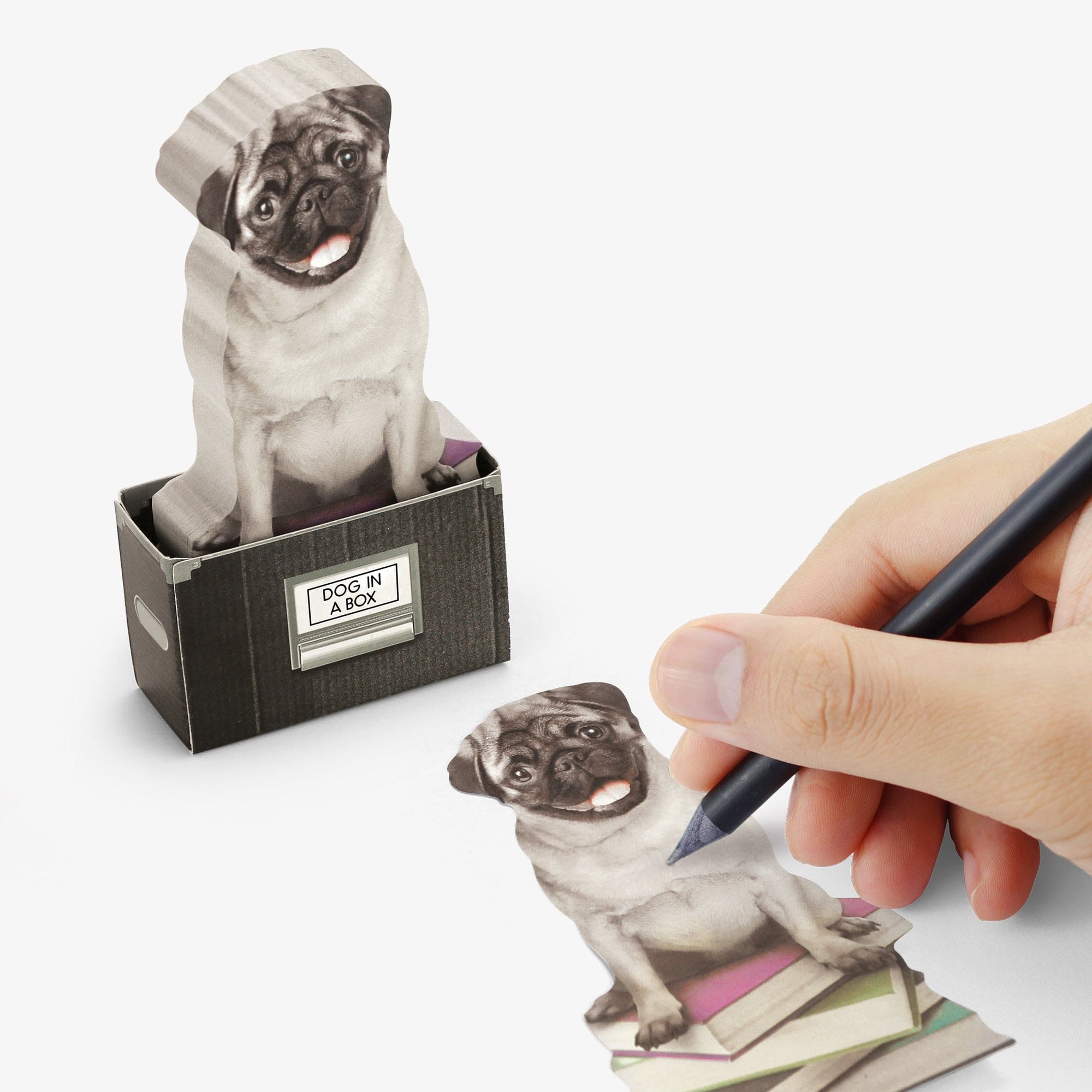 TIGC The Inappropriate Gift Co Dog post it notes