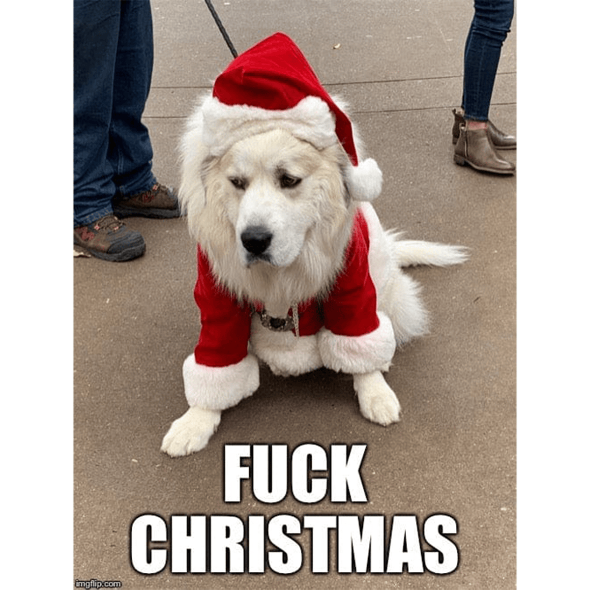 The Inappropriate Gift Co | Funny Gifts Australia