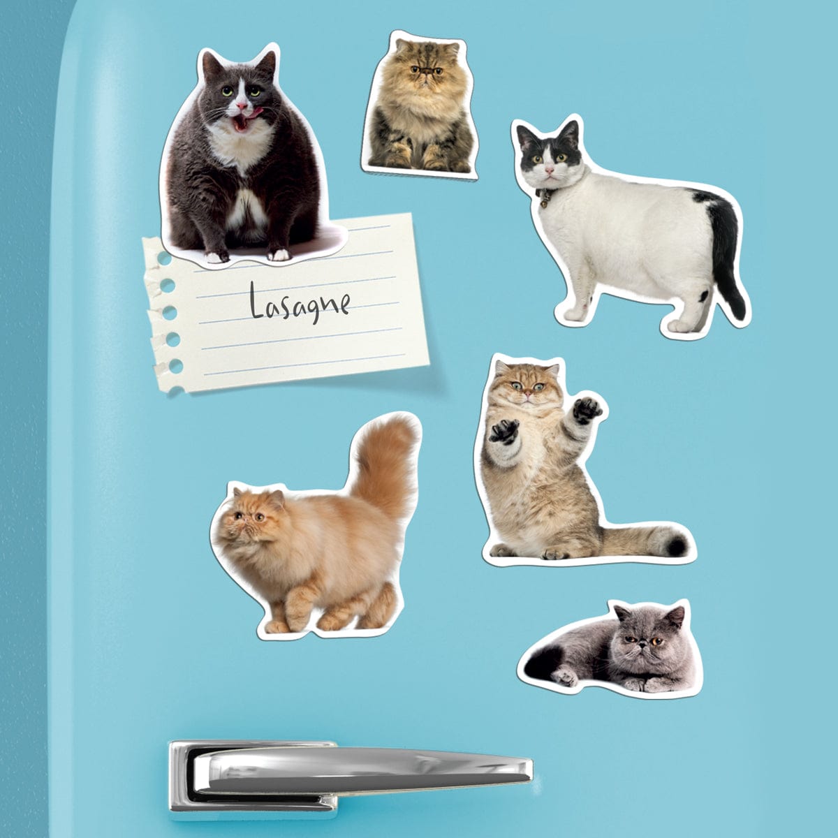TIGC The Inappropriate Gift Co Fat Cat magnets