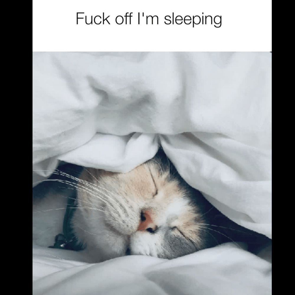 TIGC The Inappropriate Gift Co Fuck Off I'm Sleeping Night Shirt