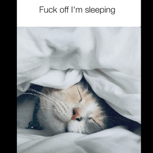 TIGC The Inappropriate Gift Co Fuck Off I'm Sleeping Night Shirt