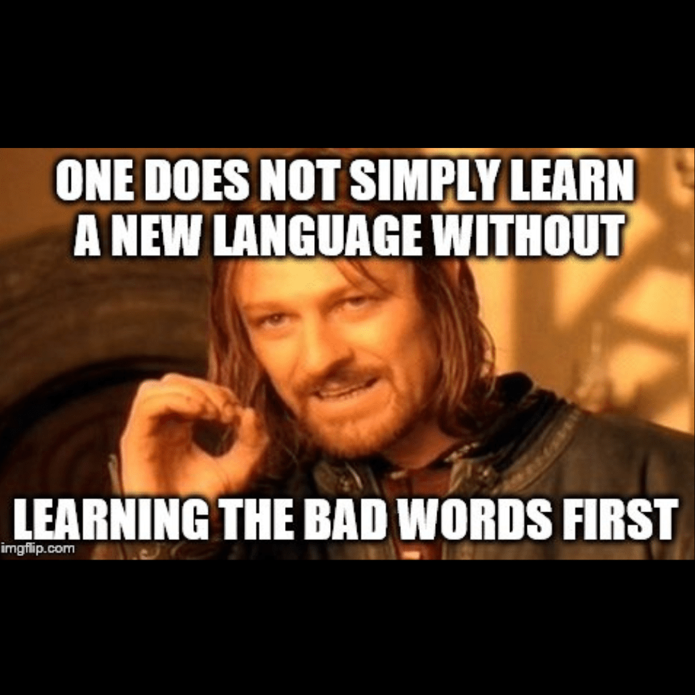 TIGC The Inappropriate Gift Co How to fucking swear around the world game