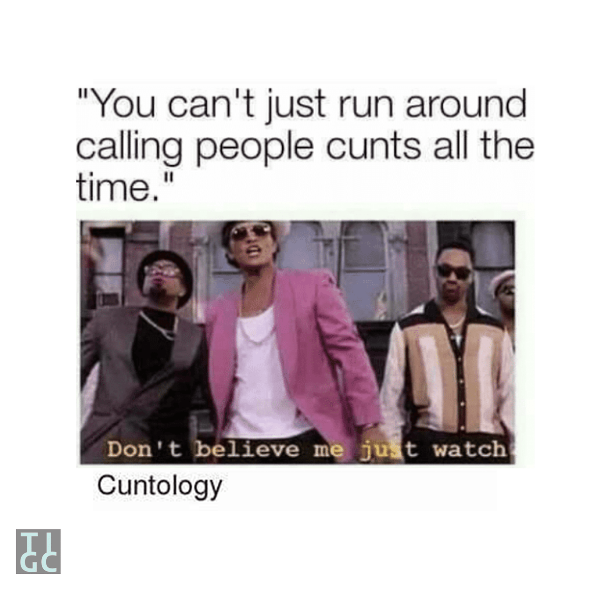 TIGC The Inappropriate Gift Co I'm Surrounded by Cunts Bangle