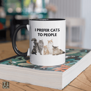 TIGC The Inappropriate Gift Co I prefer cats to people mug