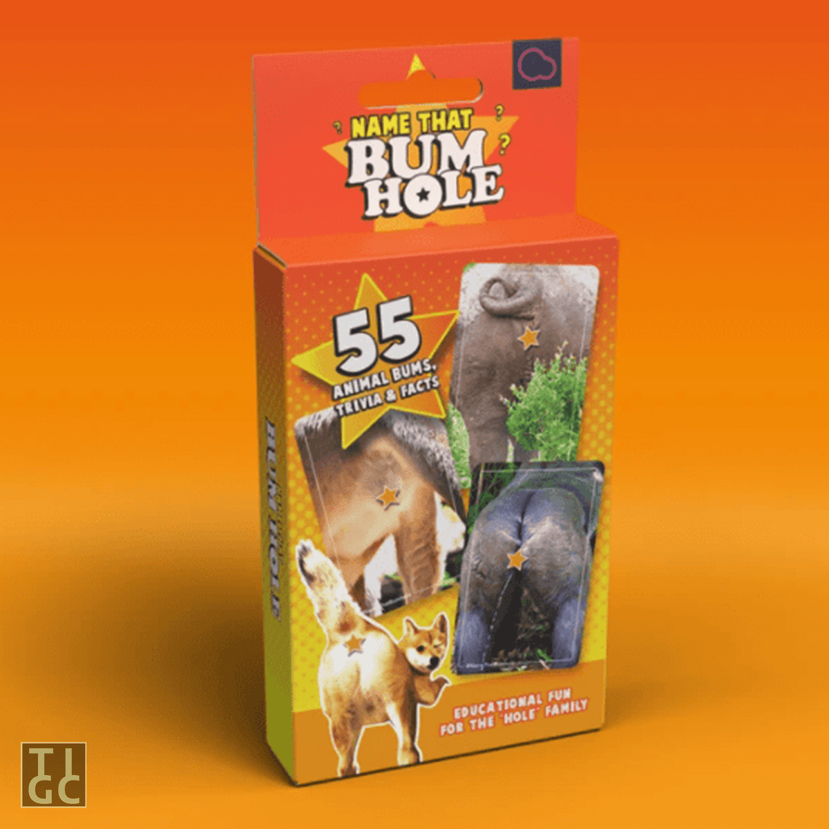 TIGC The Inappropriate Gift Co Name that bum hole hilarious card game