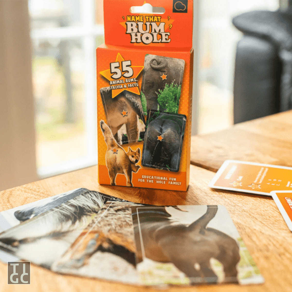 TIGC The Inappropriate Gift Co Name that bum hole hilarious card game