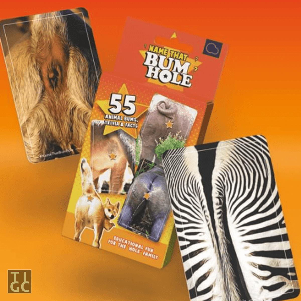 TIGC The Inappropriate Gift Co Name that bum hole hilarious card game