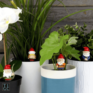 TIGC The Inappropriate Gift Co Naughty Gnomes