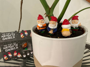 TIGC The Inappropriate Gift Co Naughty Gnomes