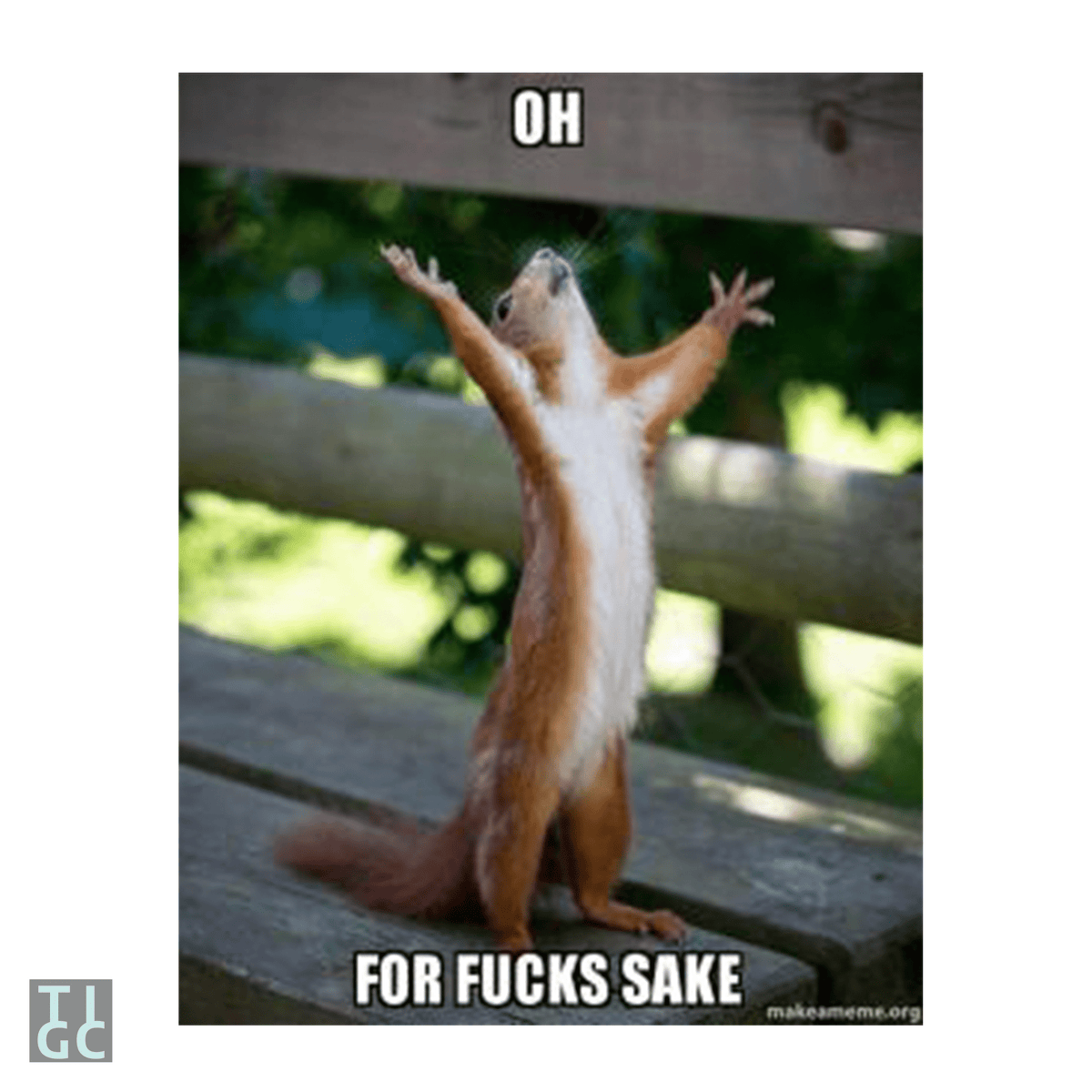 TIGC The Inappropriate Gift Co Oh for fuck sake mug