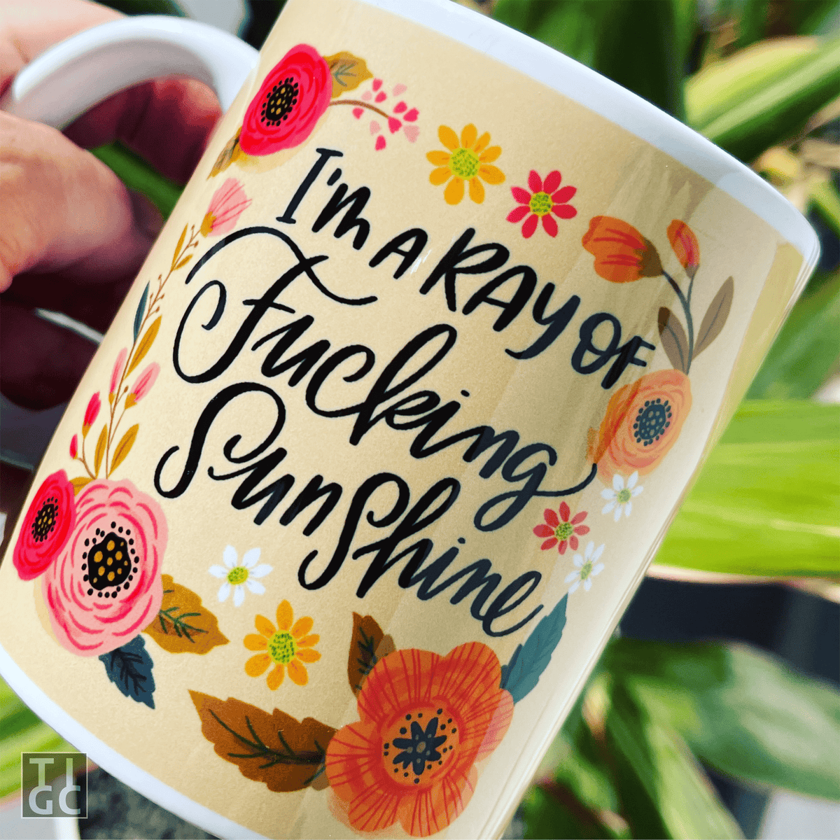 TIGC The Inappropriate Gift Co Ray of fucking sunshine Mug