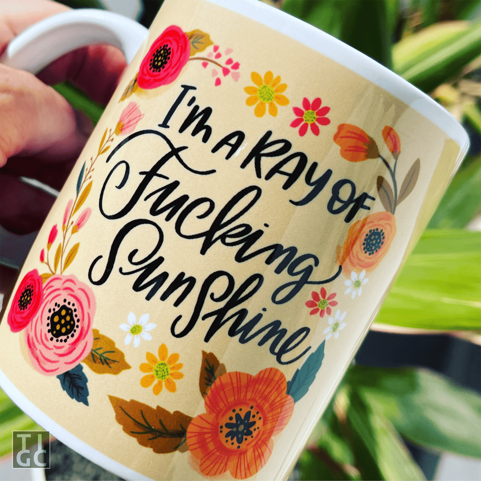 TIGC The Inappropriate Gift Co Ray of fucking sunshine Mug