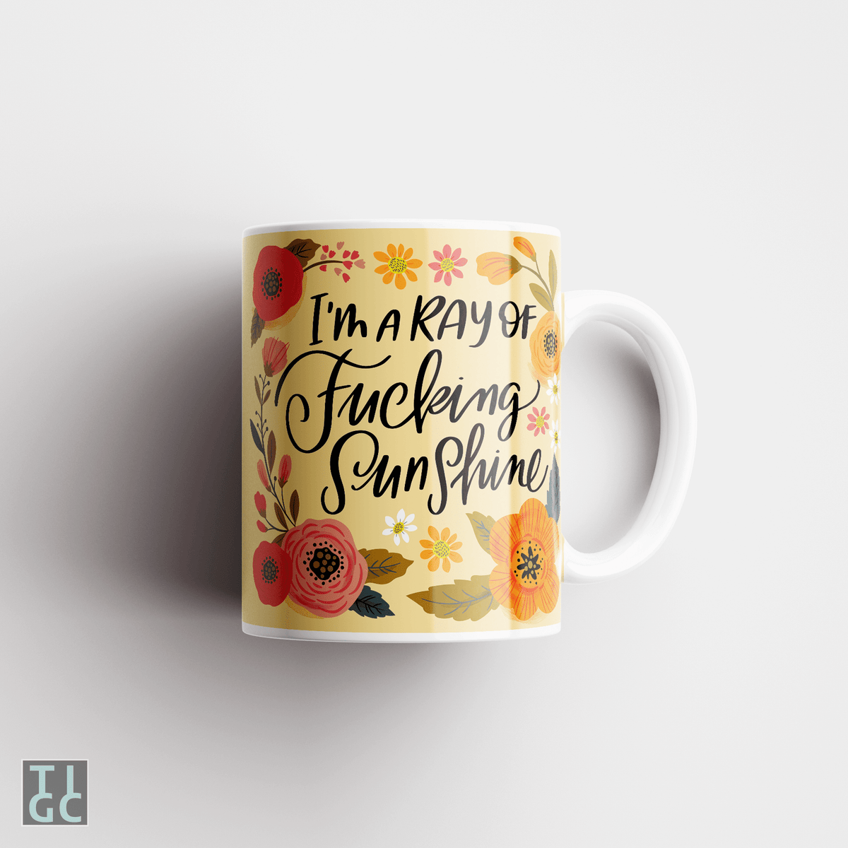 TIGC The Inappropriate Gift Co Ray of fucking sunshine Mug
