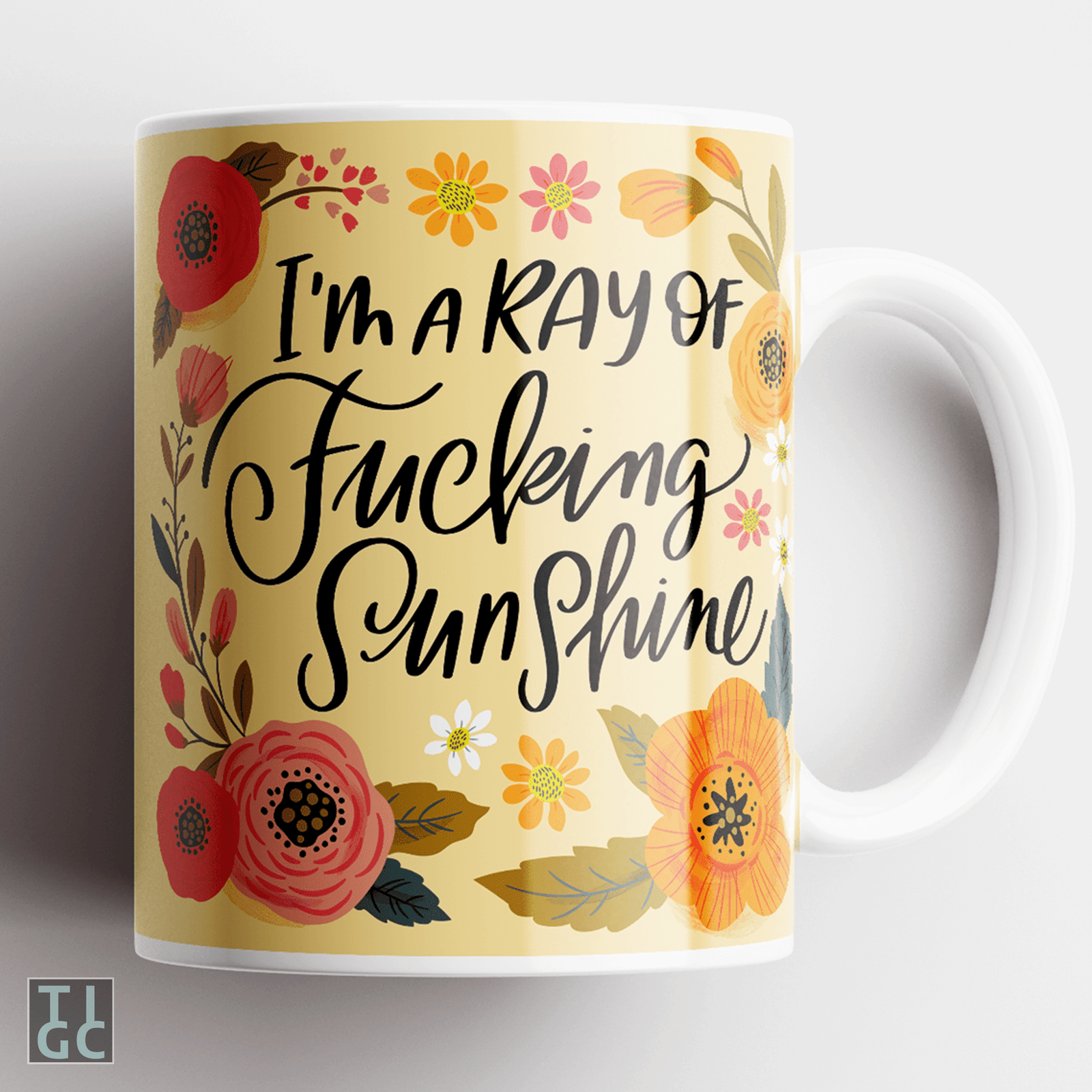 TIGC The Inappropriate Gift Co Ray of fucking sunshine Mug