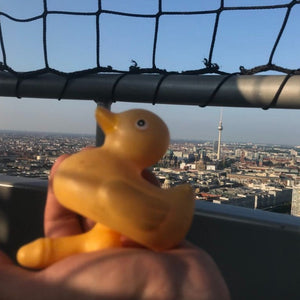 TIGC The Inappropriate Gift Co Rubber Duck with a Dick