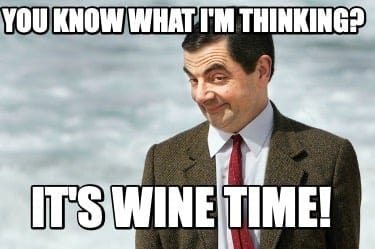 TIGC The Inappropriate Gift Co Wine Time Socks