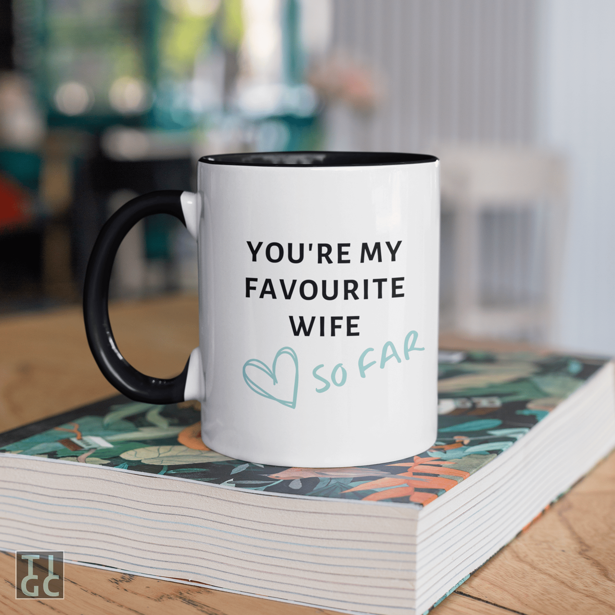 TIGC The Inappropriate Gift Co You are my favourite wife so far mug
